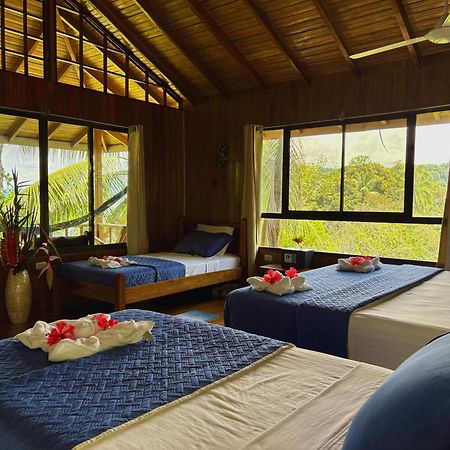 Bed and Breakfast Casa Horizontes Corcovado Drakes Bay Esterno foto