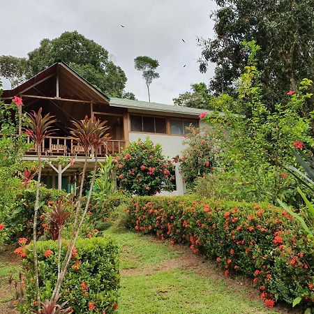 Bed and Breakfast Casa Horizontes Corcovado Drakes Bay Esterno foto