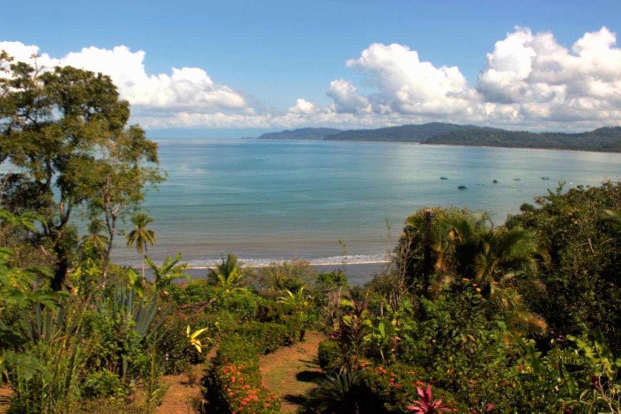 Bed and Breakfast Casa Horizontes Corcovado Drakes Bay Esterno foto