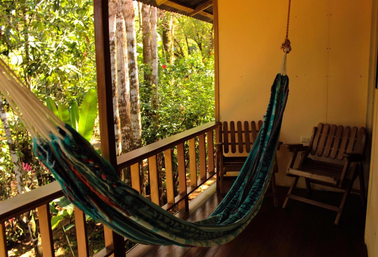 Bed and Breakfast Casa Horizontes Corcovado Drakes Bay Esterno foto