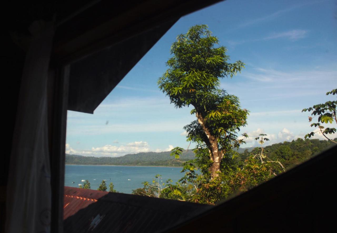 Bed and Breakfast Casa Horizontes Corcovado Drakes Bay Esterno foto