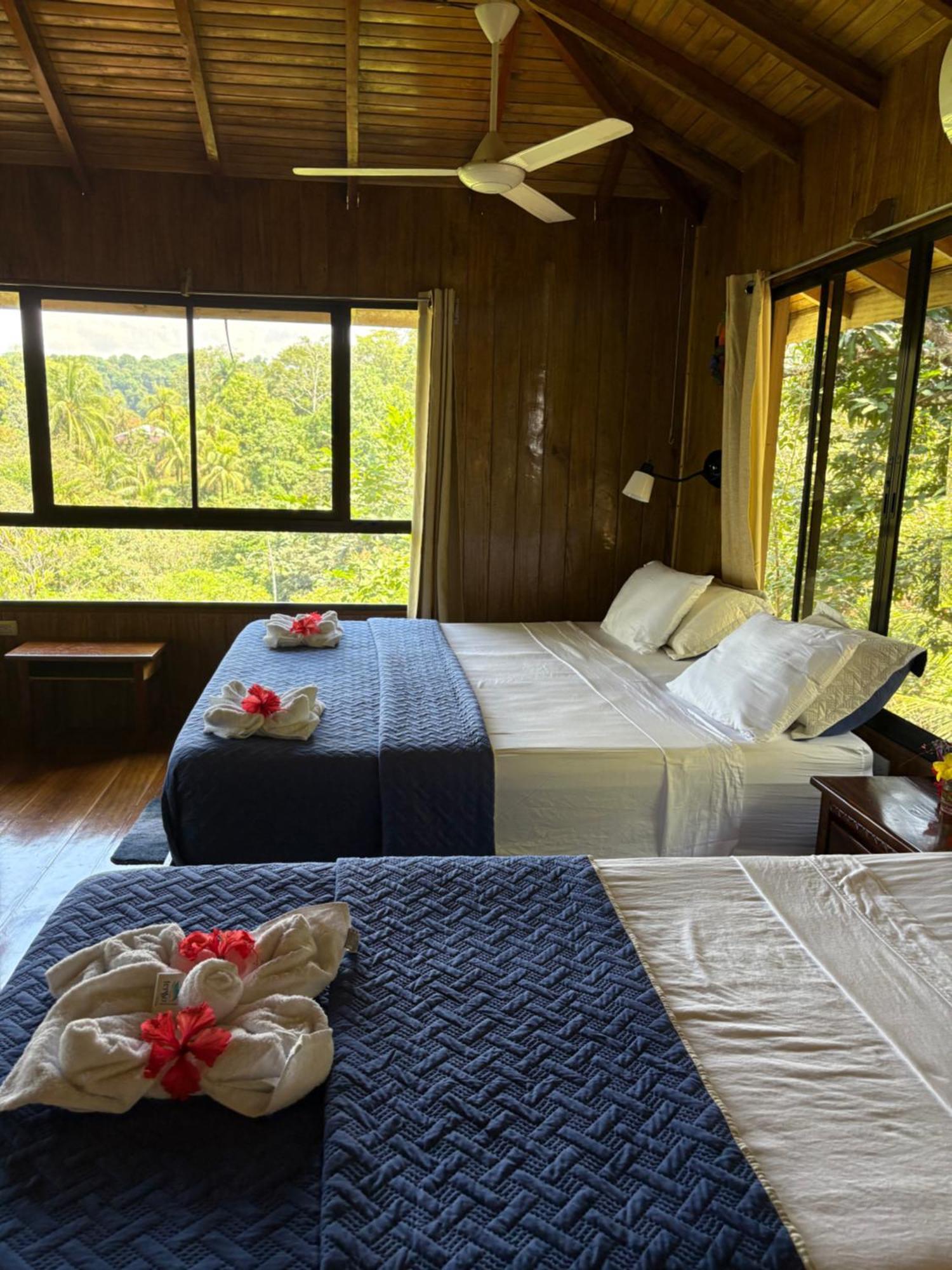 Bed and Breakfast Casa Horizontes Corcovado Drakes Bay Esterno foto